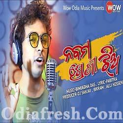 Nabama Shreni Jhia - Mantu Chhuria - New Dance Song